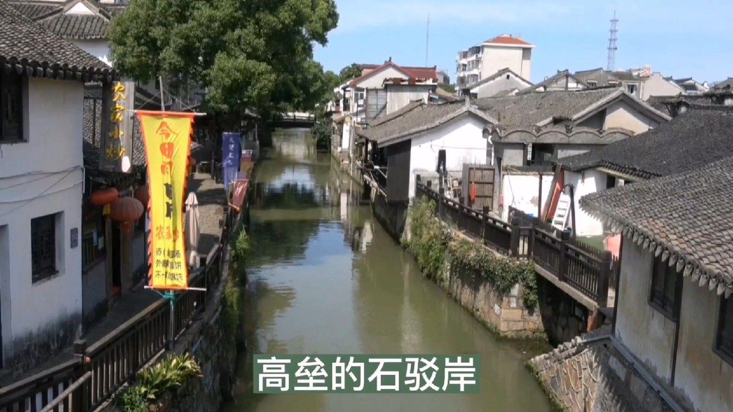 小猫钓鱼正版下载中文版