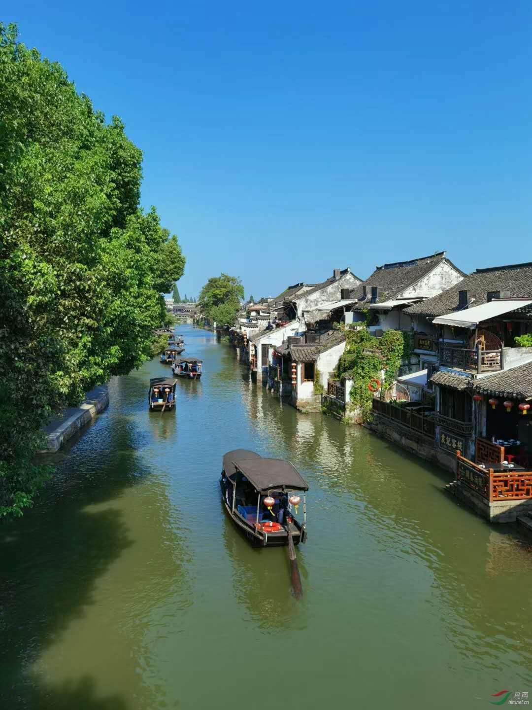 遇到坏人怎么办？-最专业的问答类网站